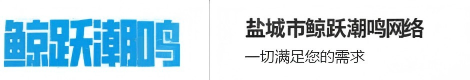 盐城市鲸跃潮鸣网络科技有限公司